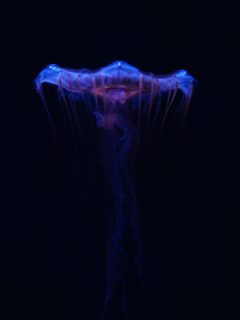 ai短剧《深海之约》预告海报，深海奇幻场景，AI生成的蓝绿色水下光效，梦幻感强